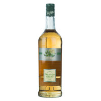 Giffard Holunderblüte Sirup 1l Giffard Holunderblüte Sirup 1l