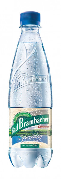 Bad Brambacher Spritzig 20 x 0,5l PET