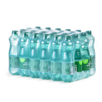 Römerquelle prickelnd 24 x 0,5l Römerquelle prickelnd 24 x 0,5l