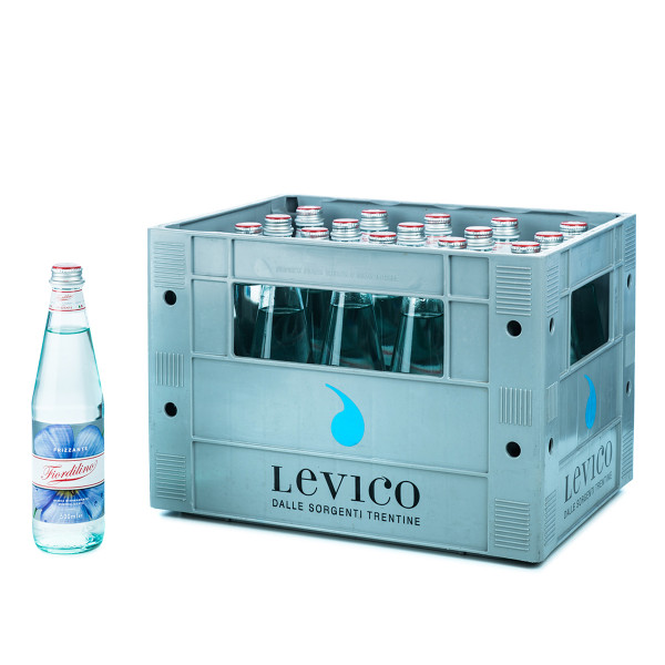 Acqua Fiordilino Frizzante 20 x 0,5l Glas
