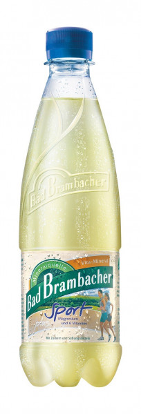 Bad Brambacher Vita Sport 20 x 0,5l