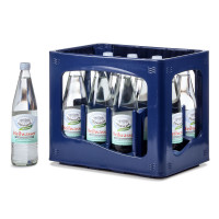 Steinsieker Heilwasser 12 x 0,75l Steinsieker Heilwasser 12 x 0,75l