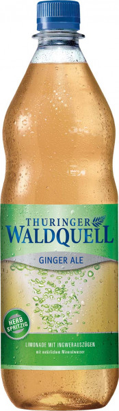 Thüringer Waldquell Ginger Ale 12 x 1l