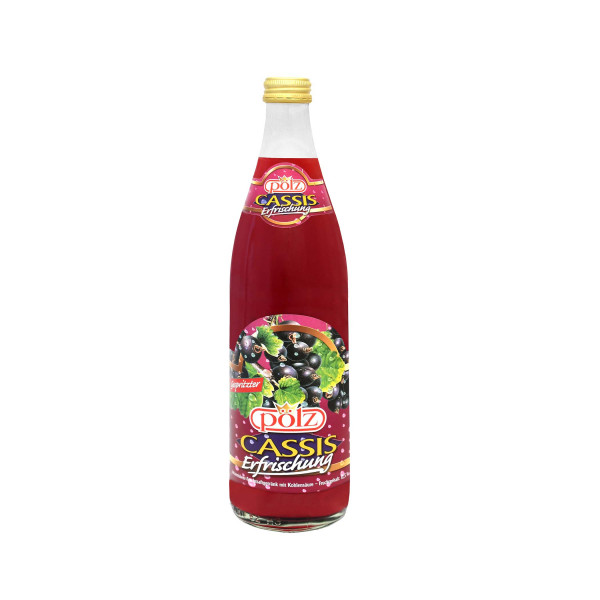 Pölz Cassis Schorle 20 x 0,5l