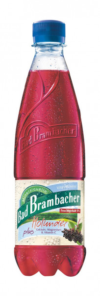 Bad Brambacher Vita-Mineral Holunder 20 x 0,5l