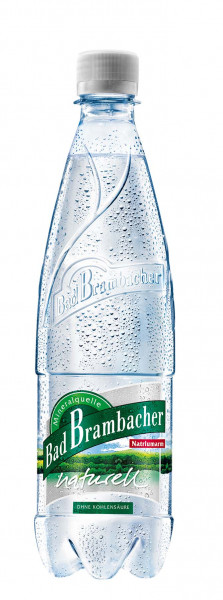 Bad Brambacher Naturell 9 x 1l PET