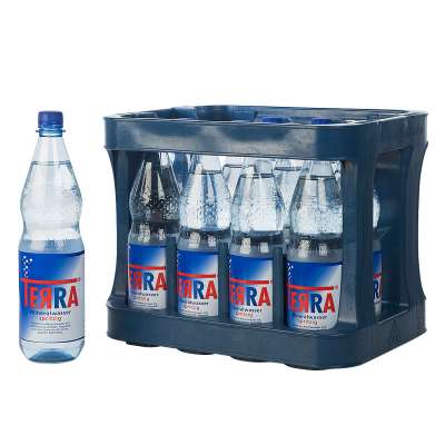 Terra Medium 12 x 1l online bestellen | getraenkedienst.com