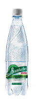 Vorschau: Bad Brambacher Naturell 9 x 1l PET Vorschau: Bad Brambacher Naturell 9 x 1l PET