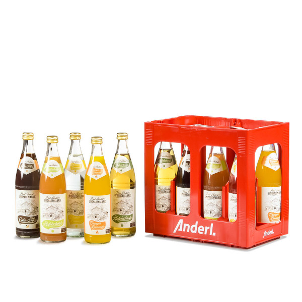 Paul Anderls Mischkiste 10 x 0,5l