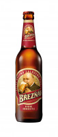 Breznak Pils 20 x 0,5l Breznak Pils 20 x 0,5l