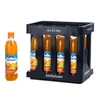 Adelholzener Multivitamin in der 0,5l PET Flasche Adelholzener Multivitamin in der 0,5l PET Flasche