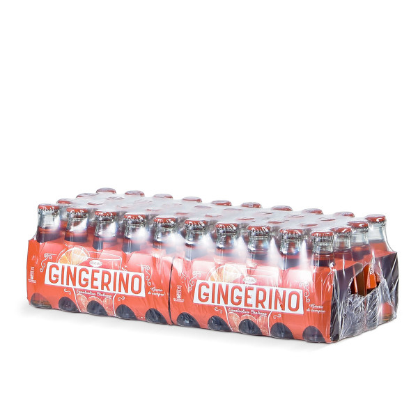 Recoaro Gingerino 40 x 0,1l